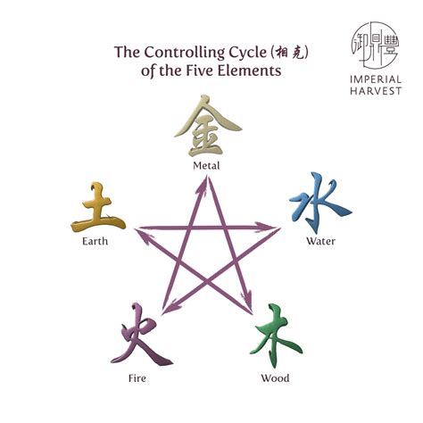 五行 英文|Five Elements (五行) in Chinese Metaphysics